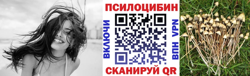 Купить закладки  Болохово  Псилоцибиновые грибы GOLDEN TEACHER 